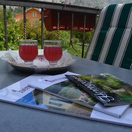 Basic Guest house 3*