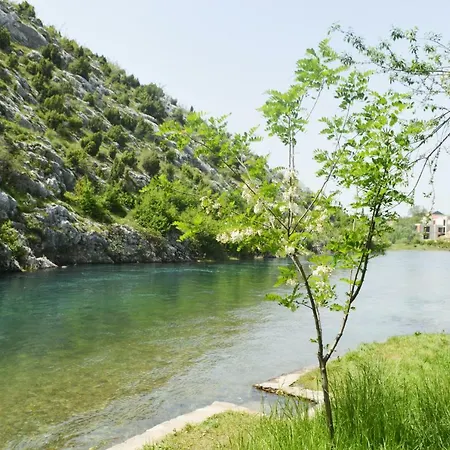 Basic Pensión Blagaj