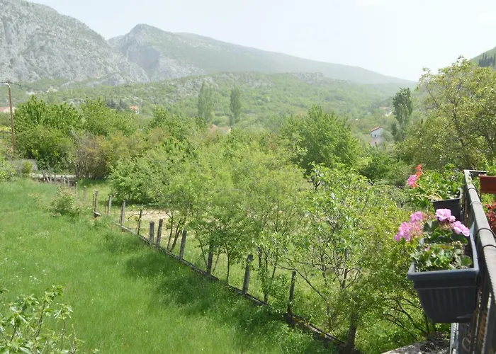 Guest house Basic 4*