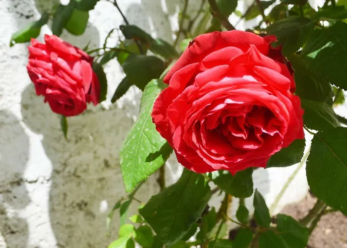 Guest house Basic Blagaj